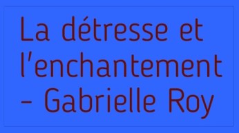 la-detresse-et-l'enchantement.png