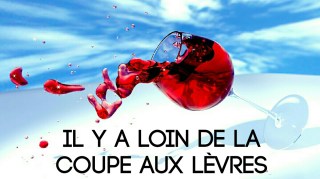 il-y-a-loin-de-la-coupe-aux-levres-expression.png