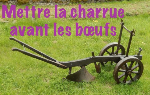 Mettez-vous souvent la charrue avant les boeufs ? Découvrez cette expression en français afin de savoir.