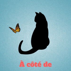 a-cote-de-preposition-francais