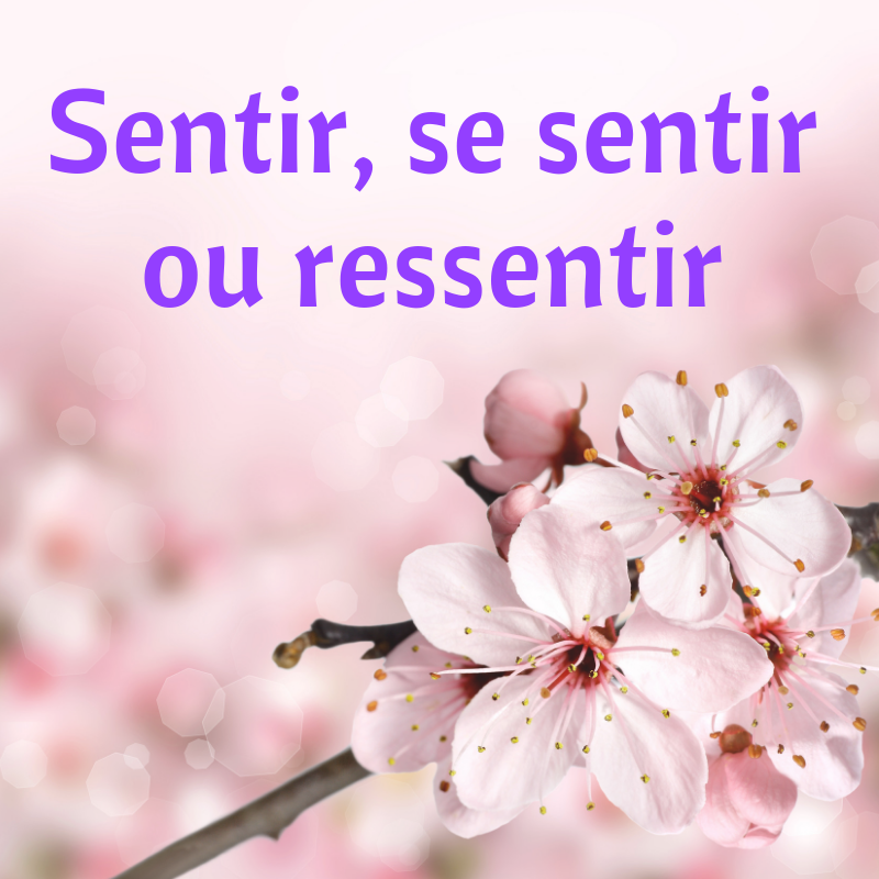 Connaissez-vous les différences entre les mots sentir, se sentir et ressentir ?